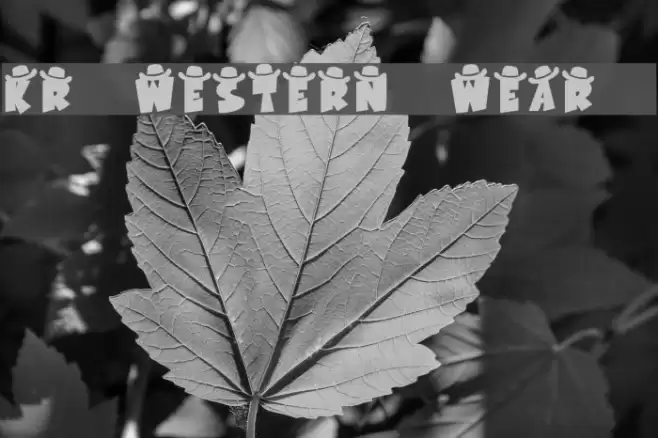 KR Western Wear 1 Font examples