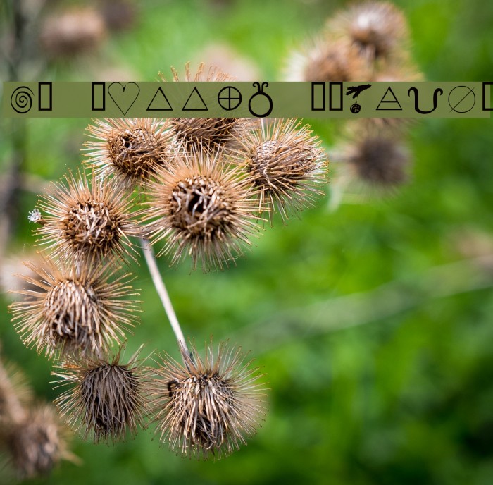 KR Wiccan Symbols Font examples