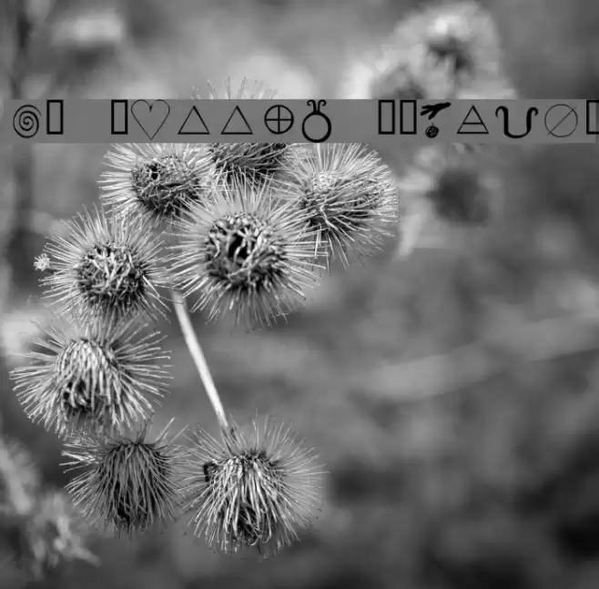 KR Wiccan Symbols خط examples