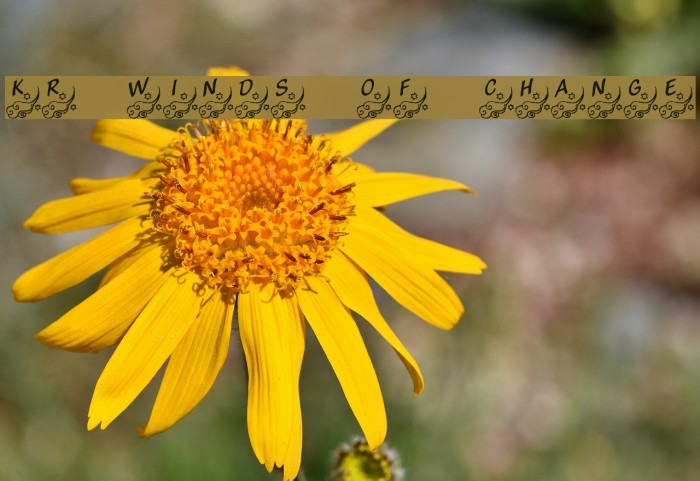 KR Winds Of Change Font examples