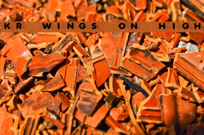 KR Wings On High Font examples