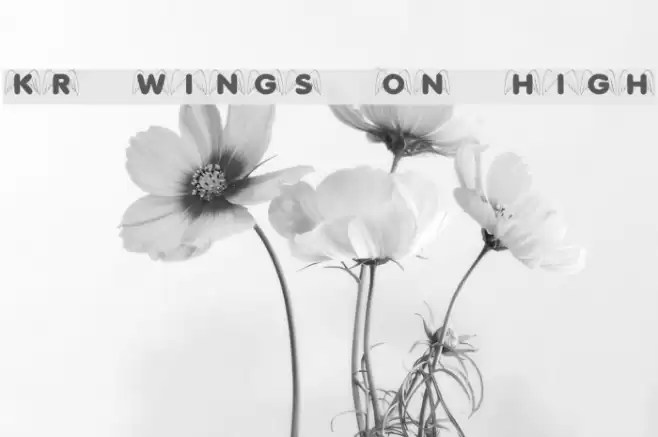 KR Wings On High Font examples