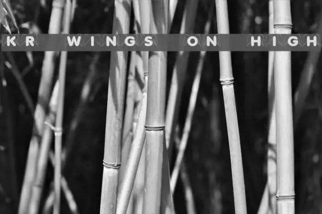 KR Wings On High Font examples