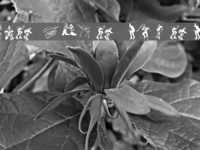 KR Winter Sports Font examples