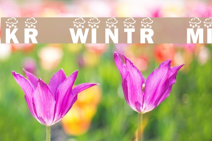 KR Wintry Mix Font examples