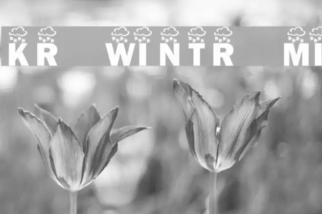 KR Wintry Mix フォント examples
