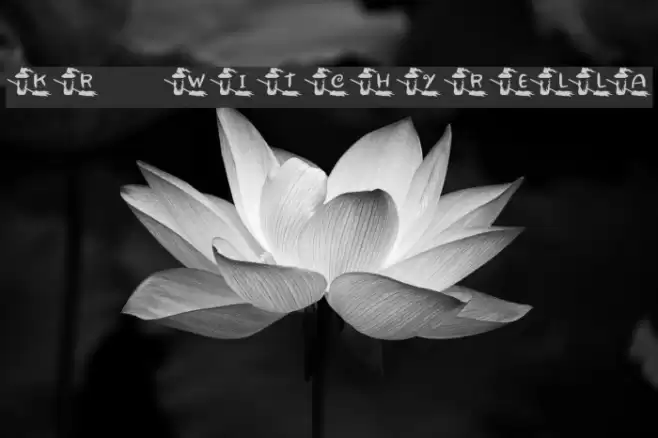 KR Witchyrella Font examples