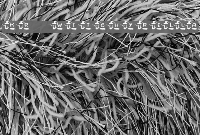 KR Witchyrella Font examples