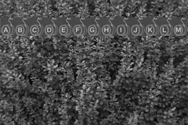 KR YoYo Font examples