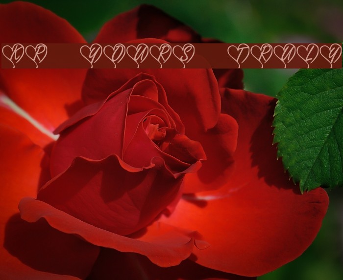 KR Yours Truly Font examples
