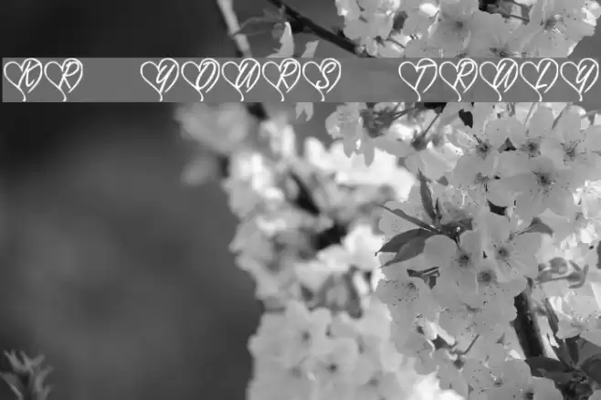 KR Yours Truly Font examples