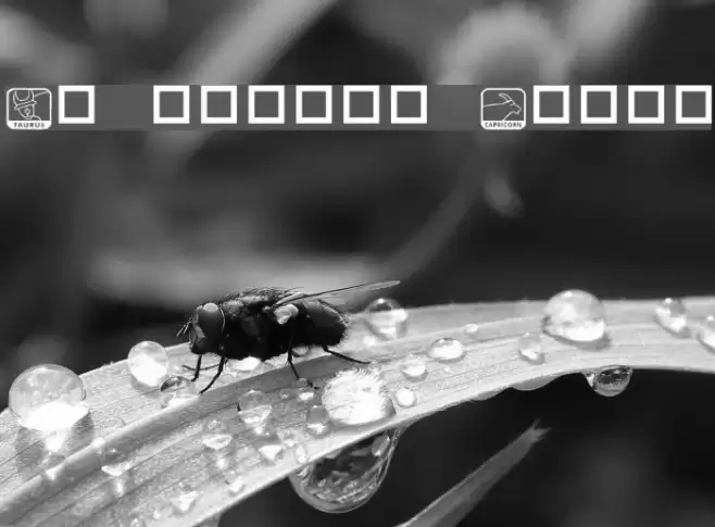 KR Zodiac Dings Font examples