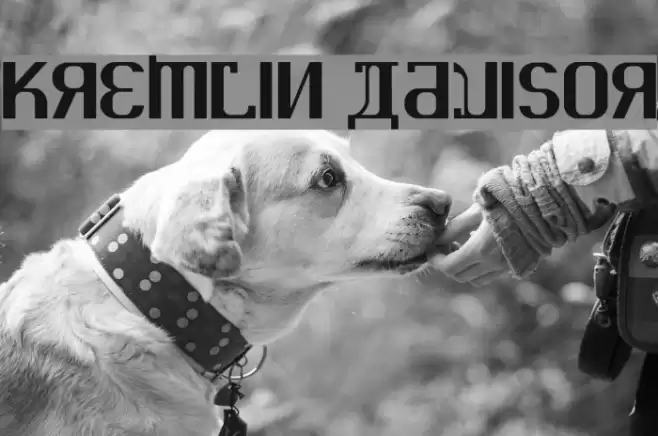 KREMLIN ADVISOR Font examples