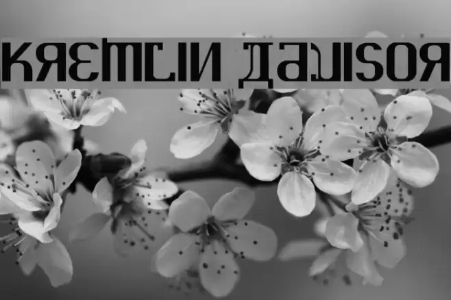 KREMLIN ADVISOR Font examples