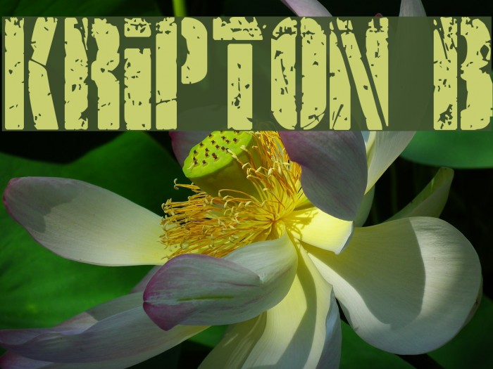 KRIPTON B Font examples