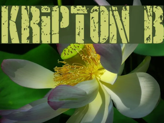 KRIPTON B Example 2
