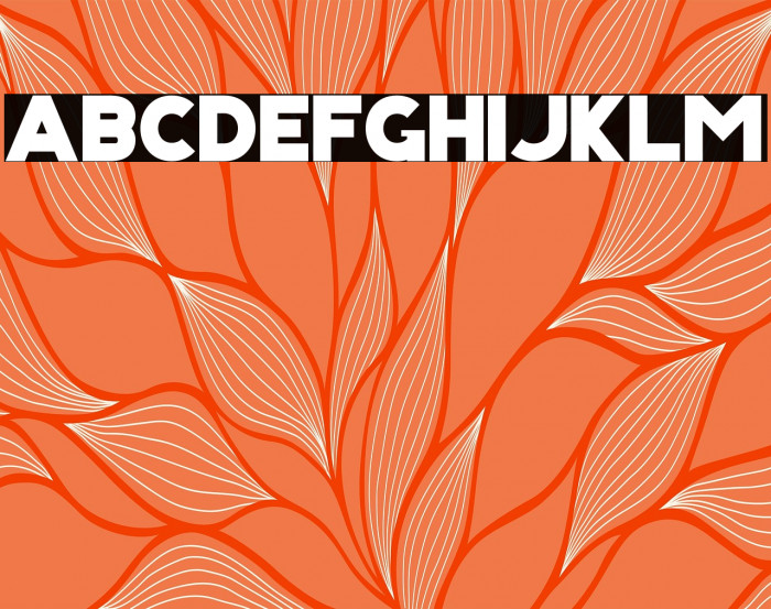 KRIS KRINGLE Example 1