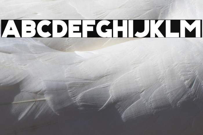 KRIS KRINGLE Example 2