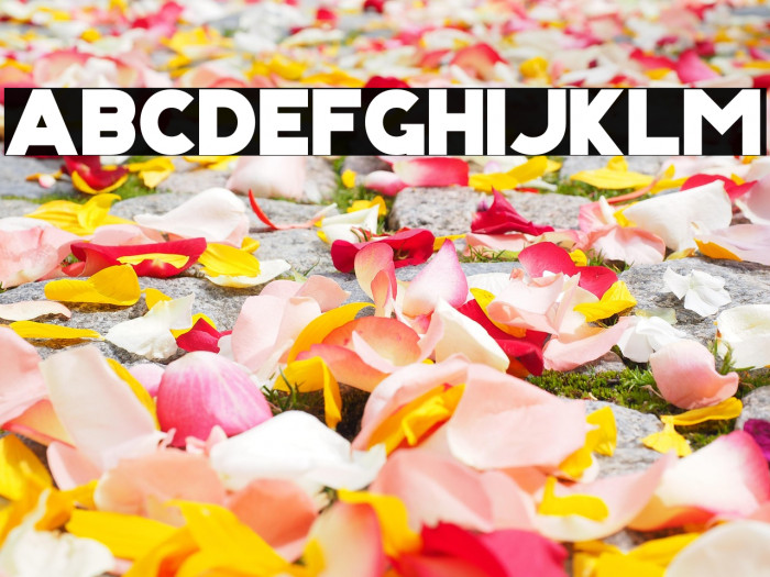 KRIS KRINGLE Example 3