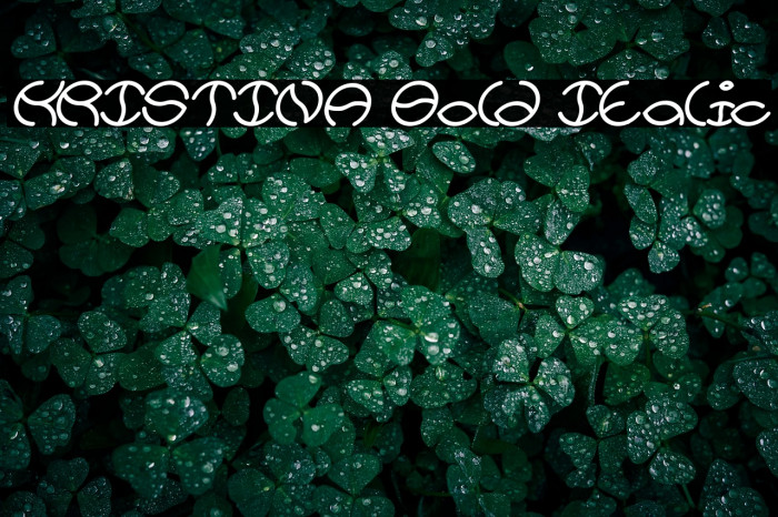 KRISTINA Bold Italic Example 3