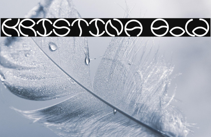 KRISTINA Bold Example 2