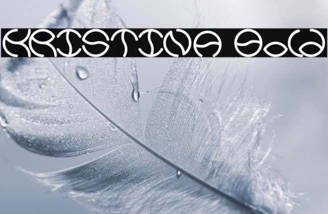 KRISTINA Bold Example 2