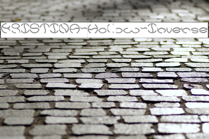 KRISTINA-Hollow-Inverse Example 1