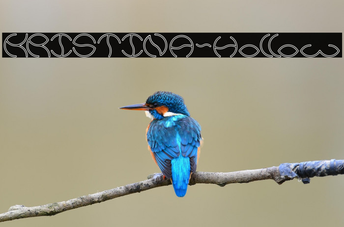 KRISTINA-Hollow Example 2