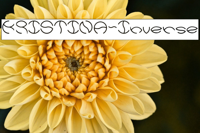 KRISTINA-Inverse Example 1