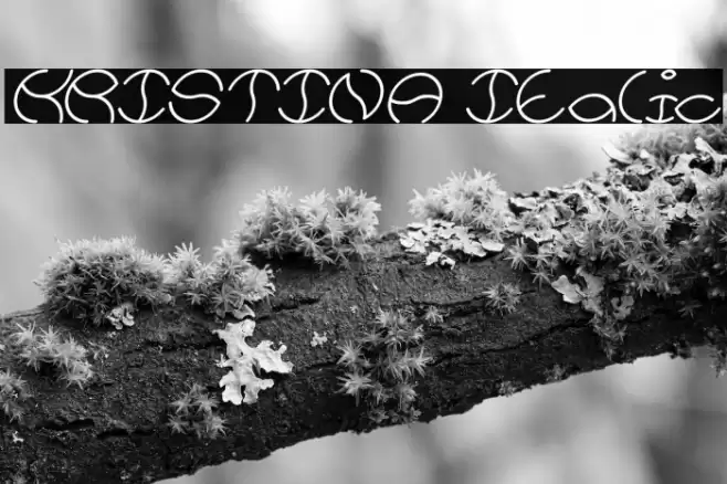 KRISTINA Italic Font examples