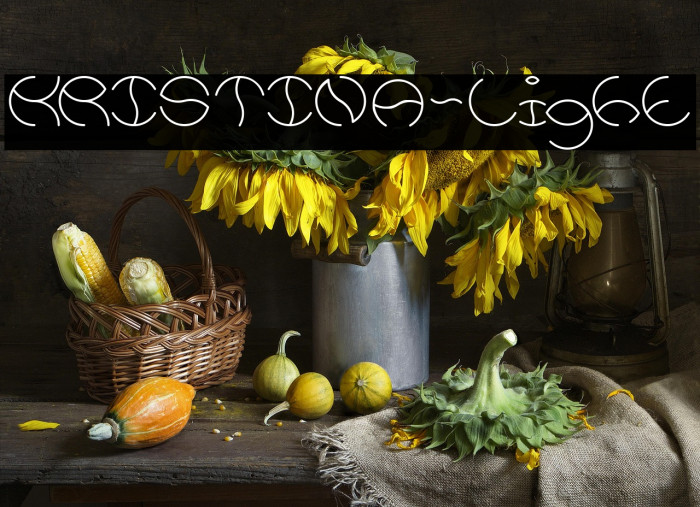 KRISTINA-Light Example 2