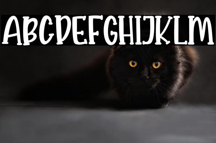 KROAST FUNNY Example 2