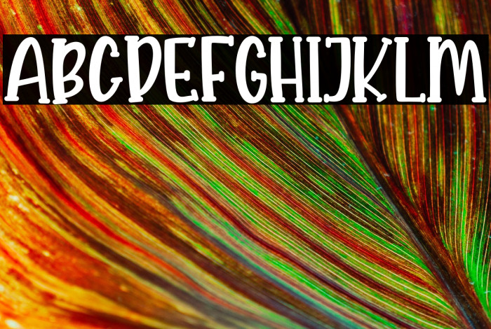 KROAST FUNNY Example 1