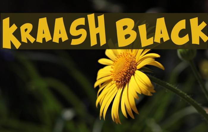 Kraash Black Font examples