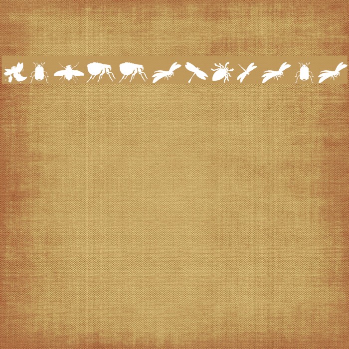 Krabbeltiere Example 3