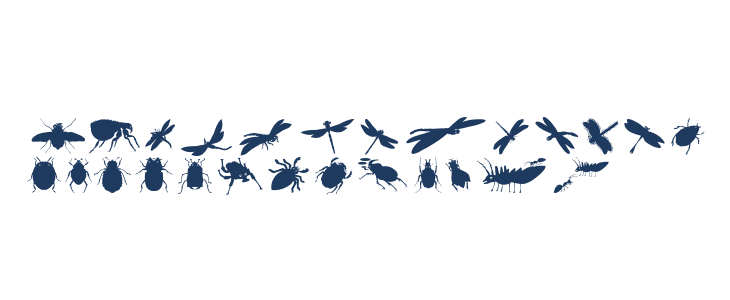 Krabbeltiere Lowercase