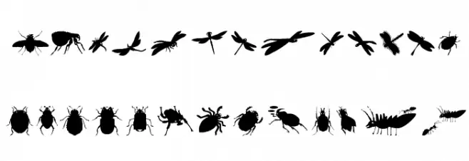 Krabbeltiere Fuentes MINÚSCULAS