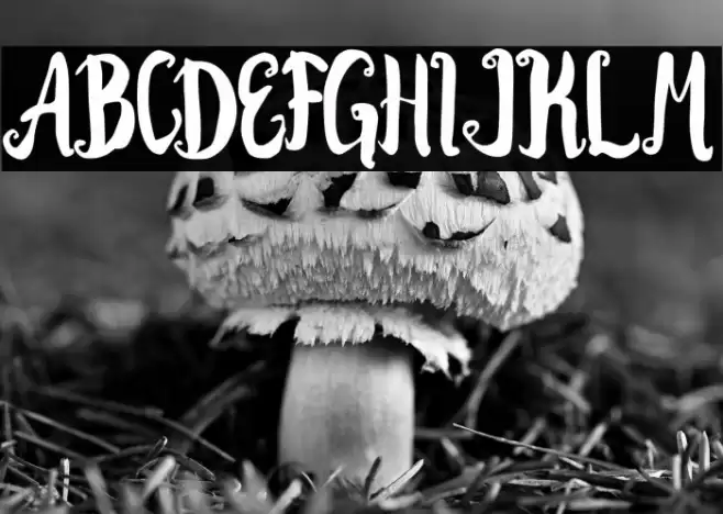 Kracktone Font examples