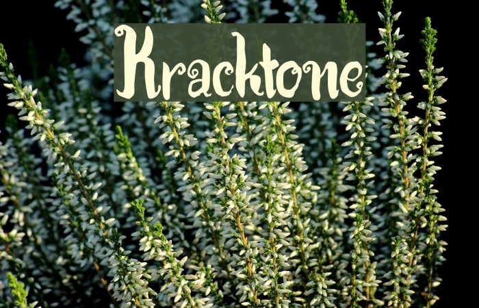 Kracktone Example 3