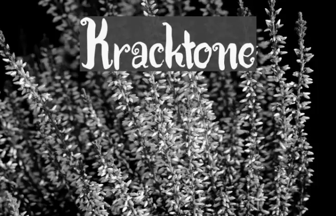 Kracktone Font examples