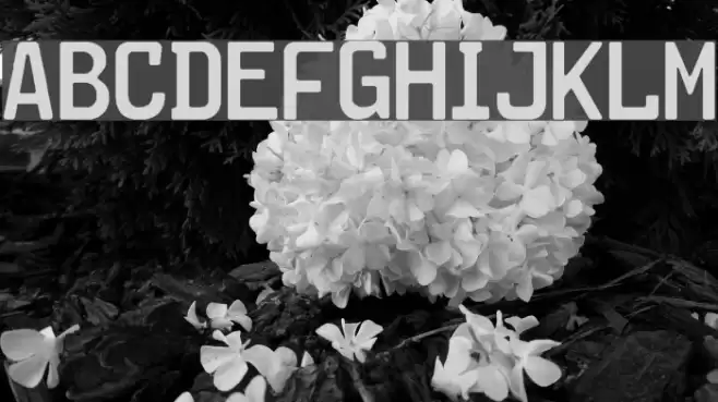 Kraftfahrzeugkennzeichen Fuentes examples