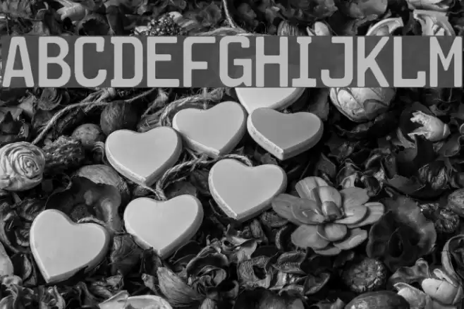 Kraftfahrzeugkennzeichen Fuentes examples