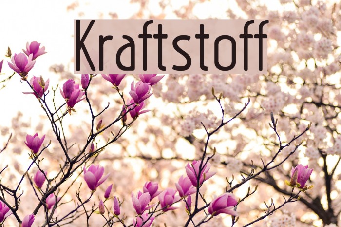 Kraftstoff Font examples
