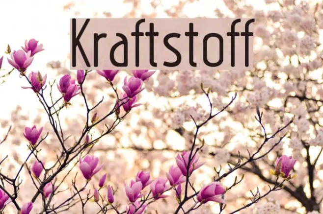 Kraftstoff Example 3