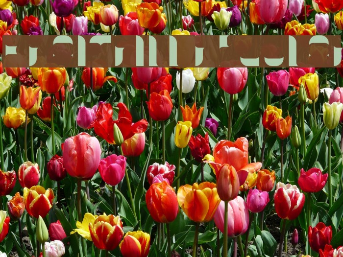 KraitFill-Regular Example 2