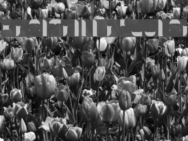 KraitFill-Regular Font examples