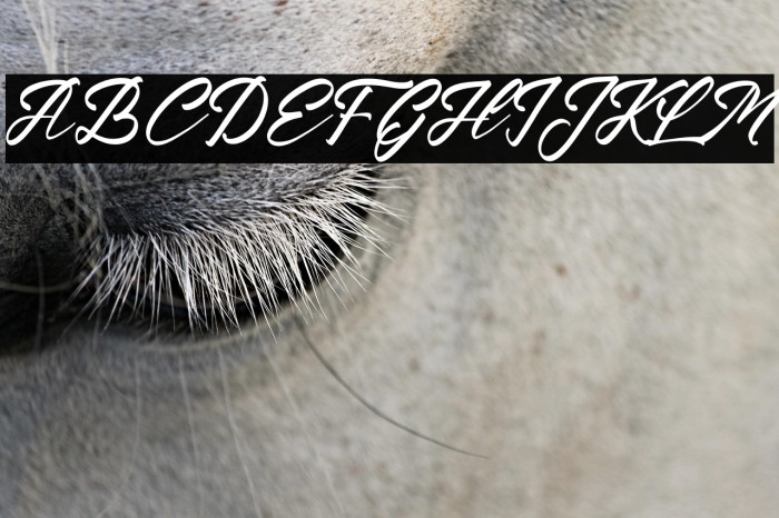 Krakatau Mountain Italic Example 2