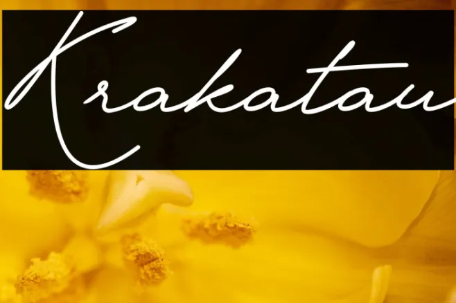 Krakatau Example 3