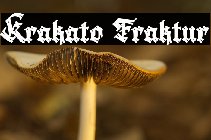 Krakato Fraktur Example 1