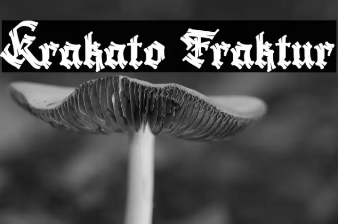 Krakato Fraktur Font examples